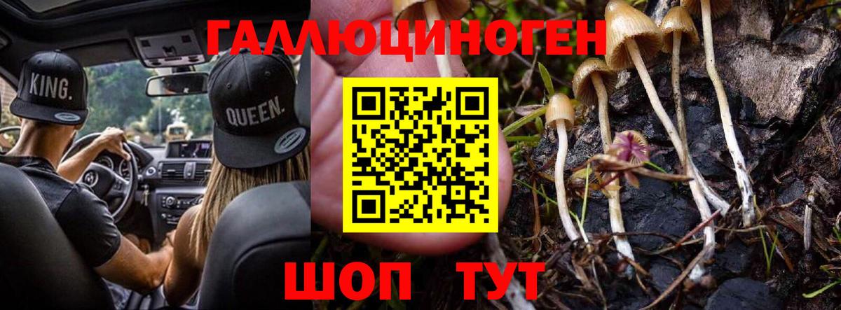 Галлюциногенные грибы MAGIC MUSHROOMS Новоалександровск