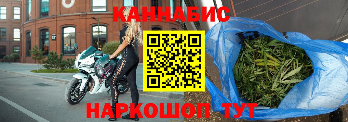 Канабис сатива Новоалександровск